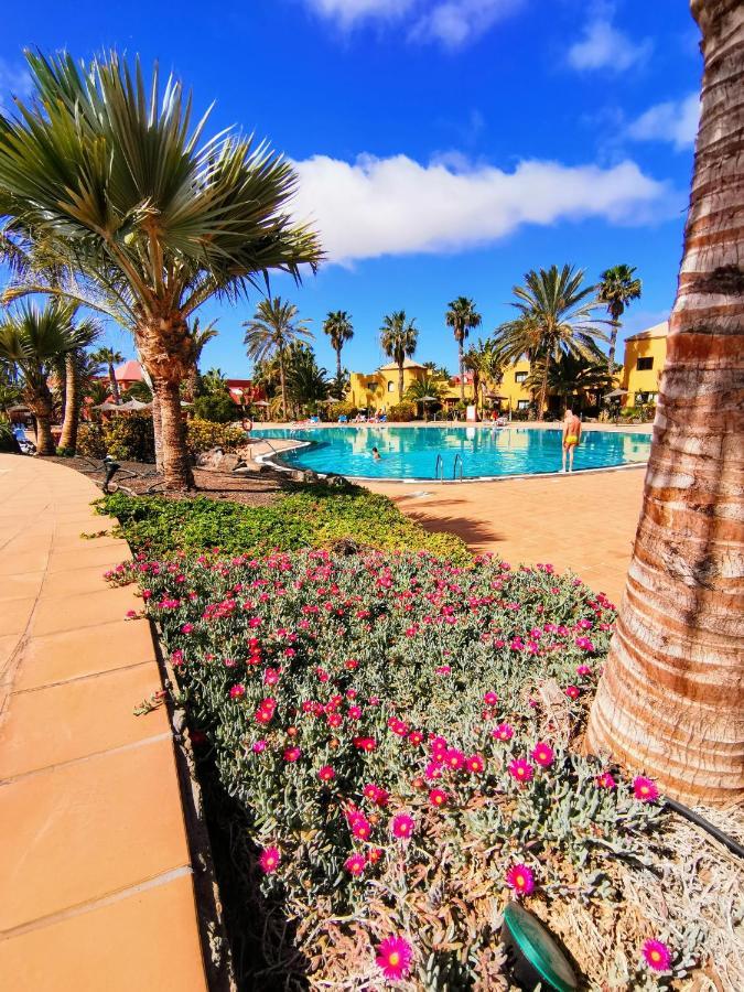 Appartamento Spagnolo Oasis Tamarindo Corralejo Luaran gambar