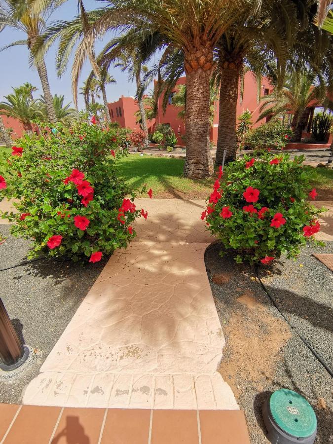 Appartamento Spagnolo Oasis Tamarindo Corralejo Luaran gambar