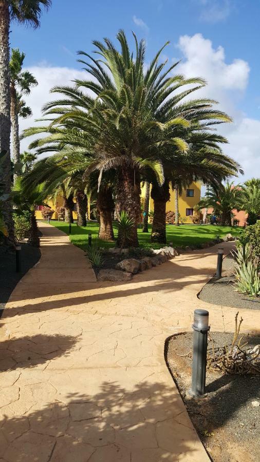 Appartamento Spagnolo Oasis Tamarindo Corralejo Luaran gambar